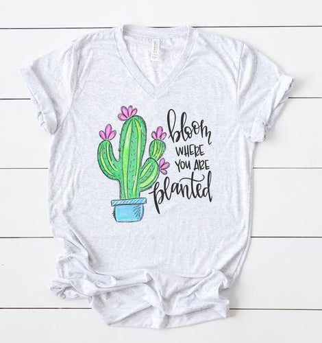 Bloom Where You Are Planted Cactus Tee