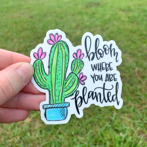 Cactus Sticker